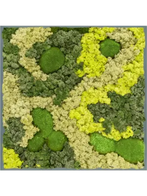 Moss Painting