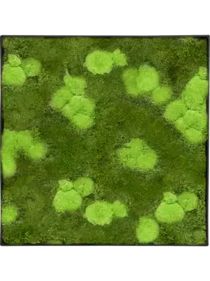 Moss Painting
