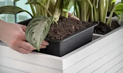 utrustning och material