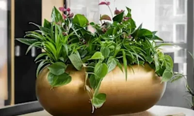 d2eaeab6-354c-429b-a844-b90c4e443aa2